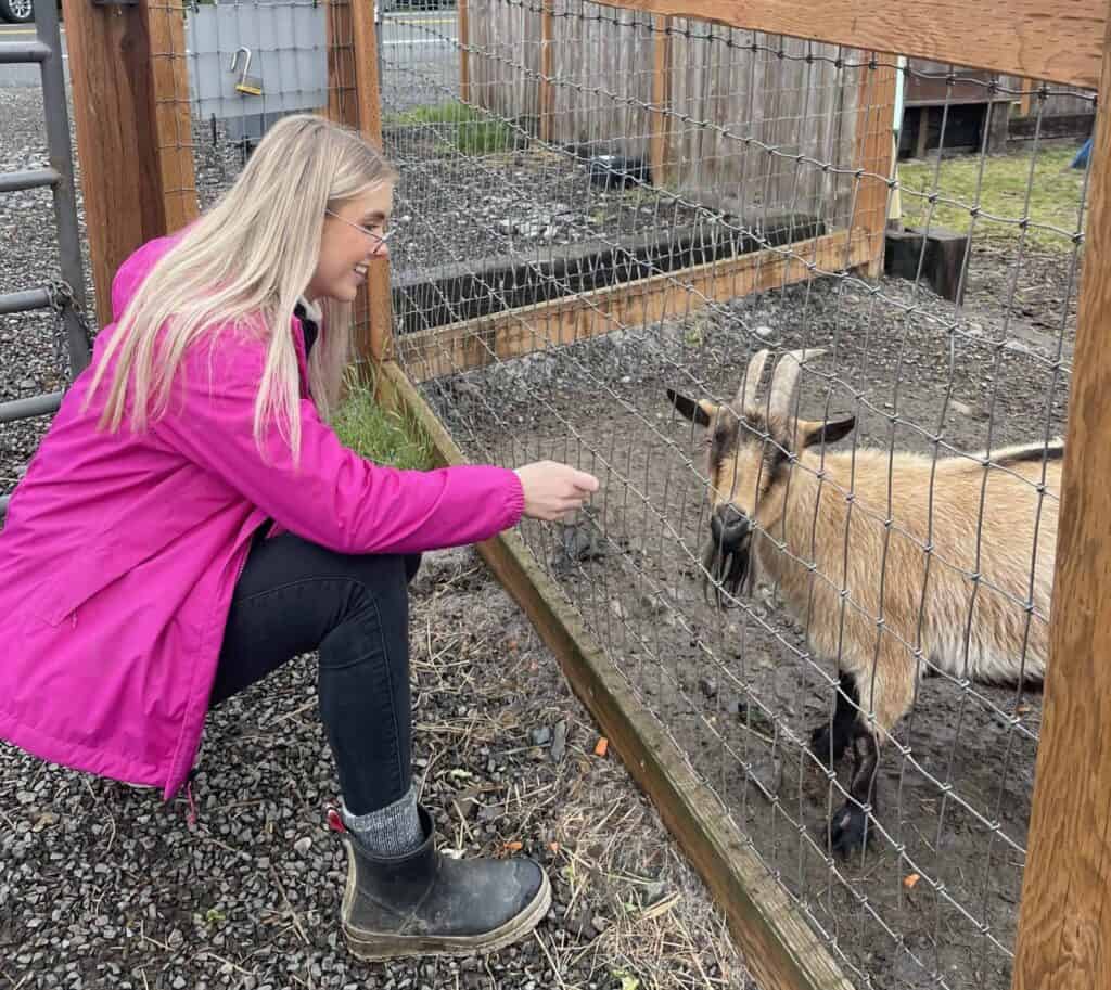 Katrina in a pink jacket feeding a goat through a wire fence
